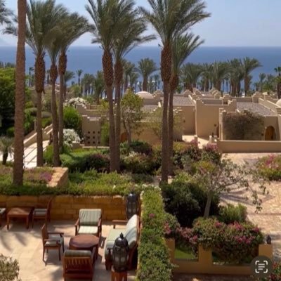 pervine_aly's profile picture. 