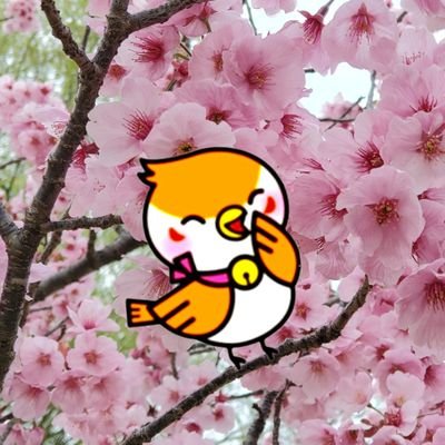茨城県の薬局 みすず薬局の公式アカウントです!みすず薬局のキャラクター”みすずめちゃん”がさまざまな情報を発信していきます!スタバ☕マックⓂ️🍔🍟美味しいもの🤤💕茨城のこと💓そして、たま~に薬局のこと(๑¯ω¯๑)みんなに癒しと元気をお届けしますっ🐦💨