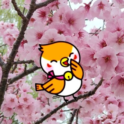 茨城県の薬局 みすず薬局の公式アカウントです！みすず薬局のキャラクター”みすずめちゃん”がさまざまな情報を発信していきます！スタバ☕マックⓂ️🍔🍟美味しいもの🤤💕茨城のこと💓そして、たま～に薬局のこと(๑¯ω¯๑)みんなに癒しと元気をお届けしますっ🐦💨