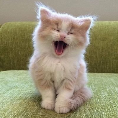 abde72099165's profile picture. لكل غاية مفيدة ....