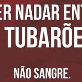 conservador moderado,  absolutamente anti-PT, PSOL, PCdoB, e PCB