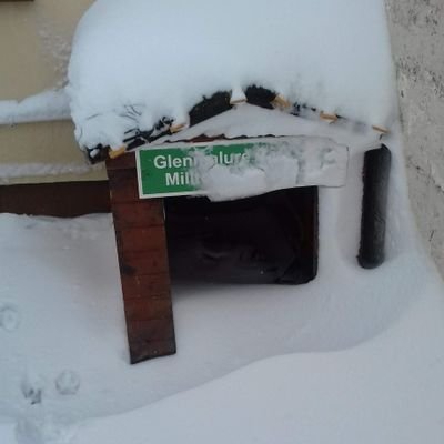 Shamrock1976Am's profile picture. 