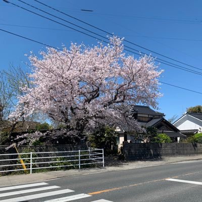 XzdiNBZbhRvM4MA's profile picture. 