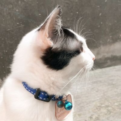 parmittttt's profile picture. ⚠️WARNING⚠️
BA spess Ms. Word since 2022.
Testimoni 2000+, testimoni terbaru bisa scroll di bagian media.
Langsung WA agar fastresp ya luvv!!!