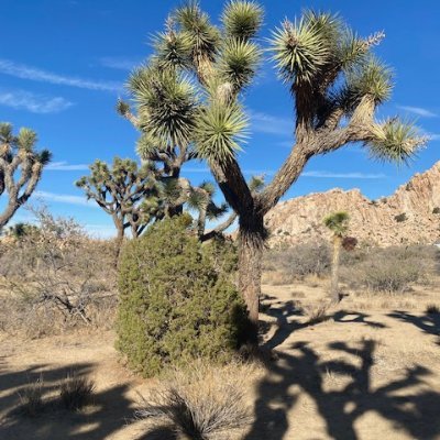 Citizens aiming to flip CA41 Blue in 2024. We fight for equal rights, economic opportunity, gun safety and Earth. Join us.