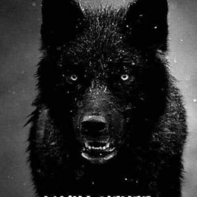 brad52944019's profile picture. 