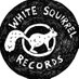 White Squirrel Records (@WSRecordCo) Twitter profile photo