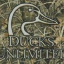 William Corbett - @wiliam_cecil - Twitter