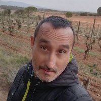 Francesc Arnan (@francescarnan) 's Twitter Profile Photo