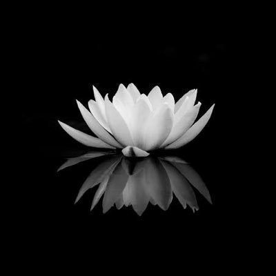 abbyinsights's profile picture. God | 💎 | Believer @smcdao | Join https://t.co/VJhOTBSTum