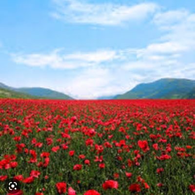 bahane_taheri's profile picture. عشق گويد راه هست و رفته ام من بارها