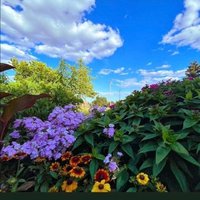 ꧁🥀𝒬𝒶𝓉𝒶𝓇 𝒹𝑒𝓌 🥀꧂ (@yrbrmny41) Twitter profile photo