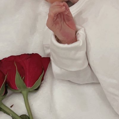 منذ أن أصبحت أم ادركت أني بكل هشاشتي لا يحق لي أن أميل ، لأن هناك من يتكأ علي. ميلاد أمومتي واعظم شعور 3/2/2023
