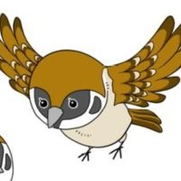 チュン🐦 (@chun40maca) 's Twitter Profile