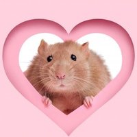 АРХИВ (@necusu1) 's Twitter Profile