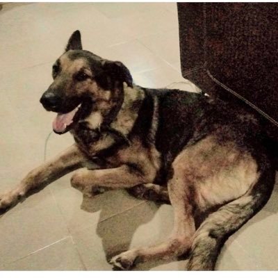 Greg147Bam's profile picture. 