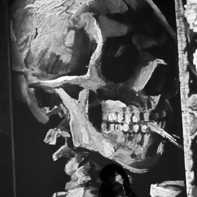 daltrobel's profile picture. 📍Brasília