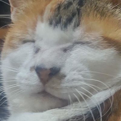 電気工事屋さんに勤めてます。音楽も好きで、ロック、メタル、パンク、ポップス、ユーロ、テクノ、昔のゲーム音楽、なんでも聴きます。趣味でマエストロというアプリでDTMの真似事をしてます。
