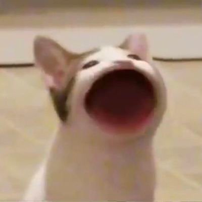 eohx29ycbs's profile picture. 