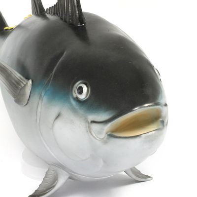 FishyTunaFish Profile Picture