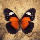 ٱقْرَأْ بِٱسْمِ رَبِّكَ ٱلَّذِى خَلَقَ
خَلَقَ ٱلْإِنسَـٰنَ مِنْ عَلَقٍ
ٱقْرَأْ وَرَبُّكَ ٱلْأَكْرَمُ
ٱلَّذِى عَلَّمَ بِٱلْقَلَمِ
Love'u'Peace ...