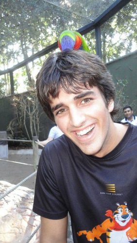 DavidBR009's profile picture. Pokemon Master