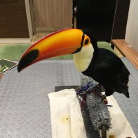 ジーマ@アフィリ (@jimabiz) 's Twitter Profile
