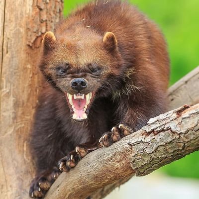 worlivine's profile picture. be aware that you are not aware