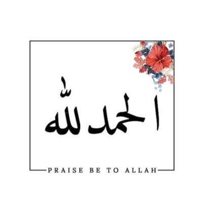 @Lamya__r profile picture