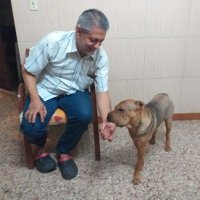 Gianfranco Di Mattia (@gianidmc28) 's Twitter Profile