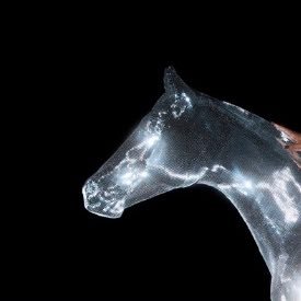 JustSumFunn's profile picture. We all know why I’m here 😅😉