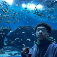 Kyle Collins (@kcollins212) 's Twitter Profile
