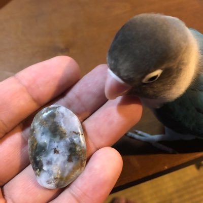 taiju80vrc's profile picture. vrchatの為にアカウント作りました。毎日タルコフライクVRFPS Ghosts of Taborやってます。リンクよりエンジョイTABORDiscordサーバーへ、お気軽にお越しください。 趣味の写真よくあげます。民族楽器の口琴奏者です。ジャムセッションしたい。DiscordID: TAIJU80#579