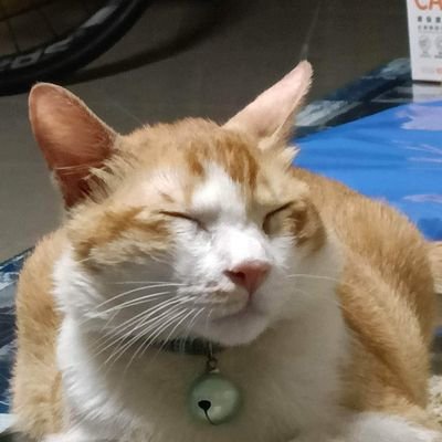 cmjさんのプロフィール画像