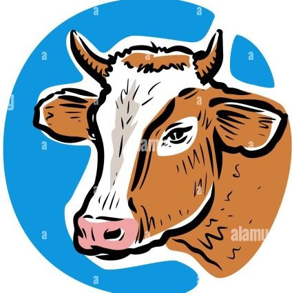 Welcome to the #cow Lovers Community!!💞
Follow us For Smile💞
This page is dedicated for all #cow Lovers & Owners !💞