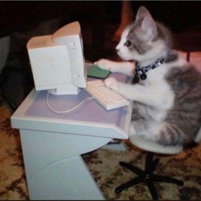 writer acc || let's be moots