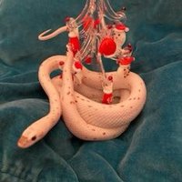 爬虫類ショップ レプタイルズラボ (@reptiles_lab) 's Twitter Profile