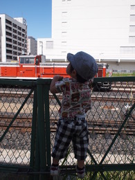 shinasinaさんのプロフィール画像