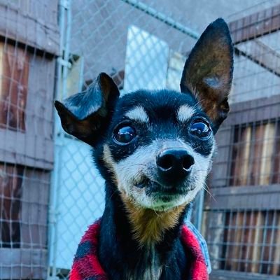 Erica__Mary's profile picture. 