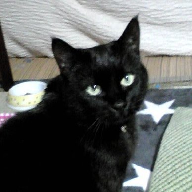 xHmR2ZQV4qXA1TE's profile picture. 