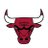 Chicago Bulls