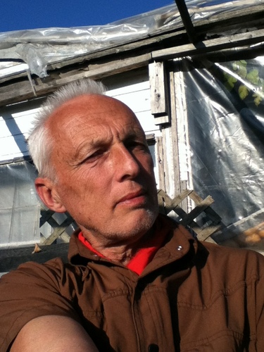 occupy now! Profile