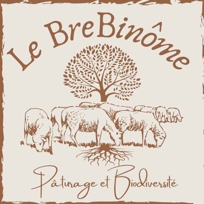 Bergère et berger en système pastoral transhumant à l'année (tout-herbe).
Production de viande d'agneau, prestations pastorales spécifiques et ''éco-pâturage''.