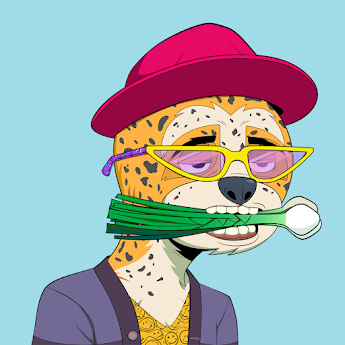 Developer️ also Manga️ also18 y.o.️ also Fashion Collector️