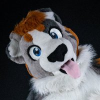 Stratus (@stratusshepherd) Twitter profile photo
