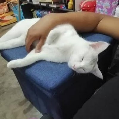 AkenatonRamos's profile picture. 