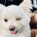 PENGERION (@pengerion) Twitter profile photo PENGERION (@pengerion) Twitter profile photo