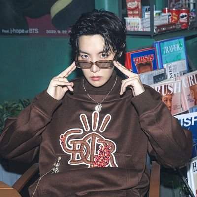 26 yo she/her // fan account // OT7 or die // ranting space nothing too horrible // get out of my twt children🔞  ARO(ACE!)