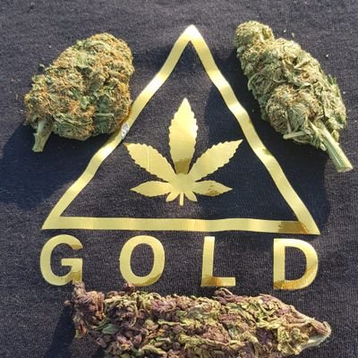 TrianguloG420's profile picture. 