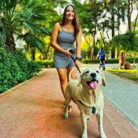 Sedimsii (@sedaklcu) 's Twitter Profile